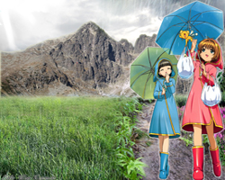 Cardcaptor Sakura Wallpaper